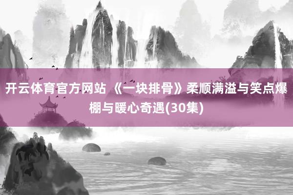 开云体育官方网站 《一块排骨》柔顺满溢与笑点爆棚与暖心奇遇(30集)