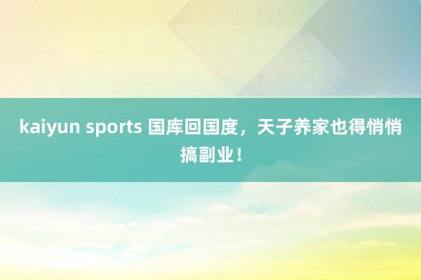 kaiyun sports 国库回国度，天子养家也得悄悄搞副业！