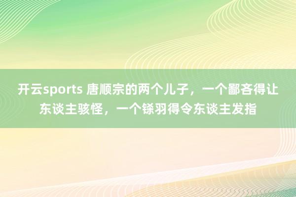 开云sports 唐顺宗的两个儿子，一个鄙吝得让东谈主骇怪，一个铩羽得令东谈主发指