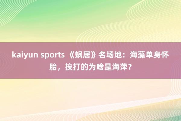 kaiyun sports 《蜗居》名场地：海藻单身怀胎，挨打的为啥是海萍？